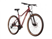Stinger Laguna 29"